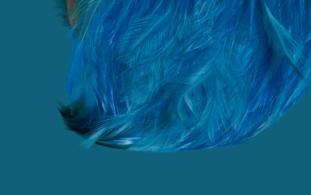 Maeve - The Museum of Lydia Grace Online Exhibition