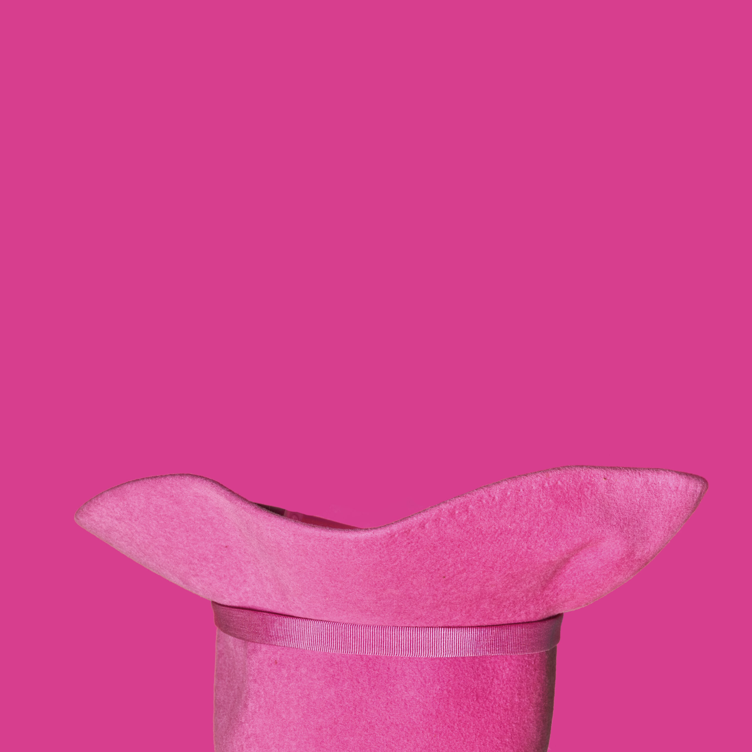 Clementine - The Museum of Lydia Grace Online Exhibition