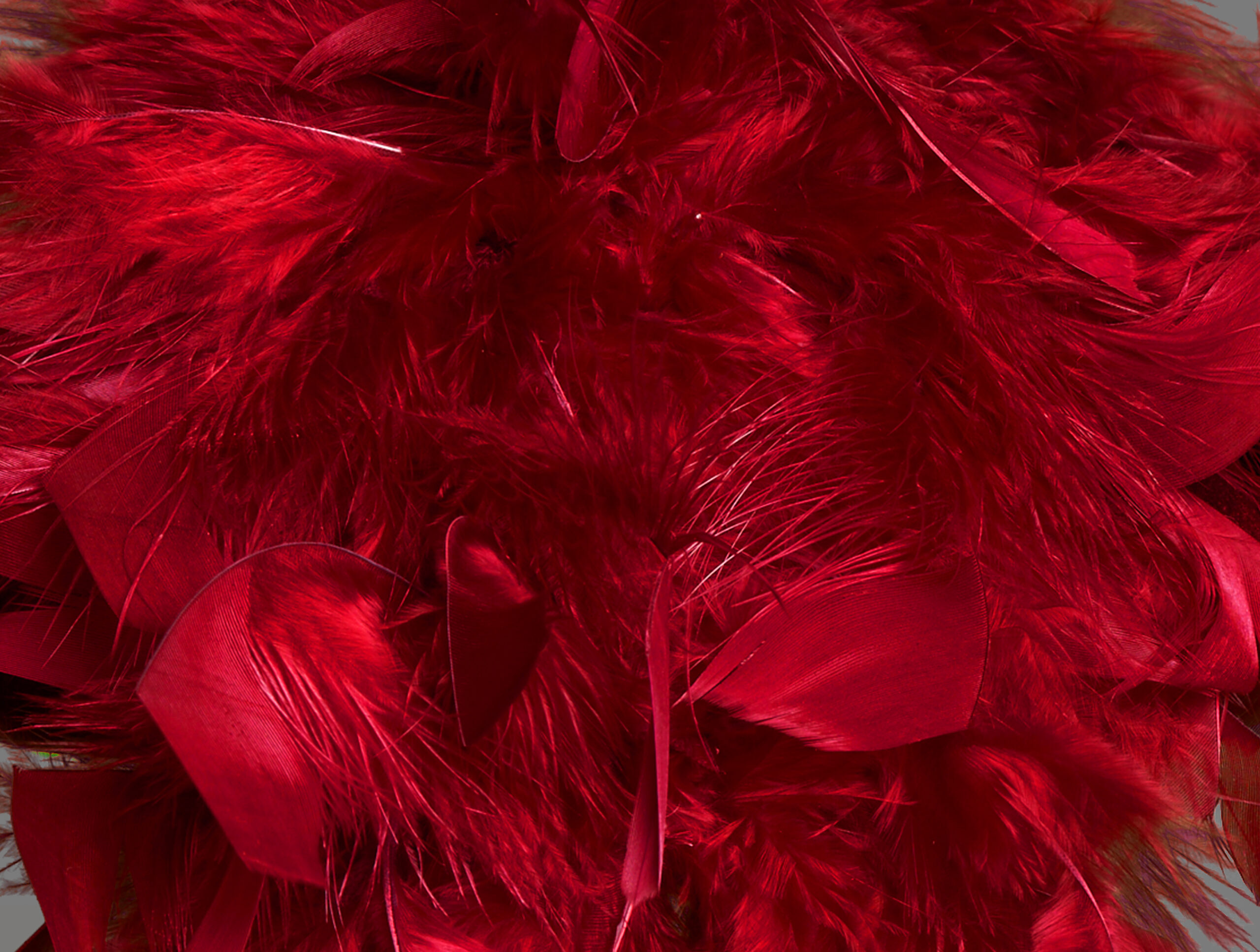 Scarlet - The Museum of Lydia Grace Online Exhibition